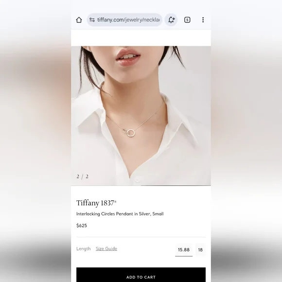 Tiffany & Co. 1837 Small Sterling Silver Interlocking Circles Necklace - Picture 14 of 14